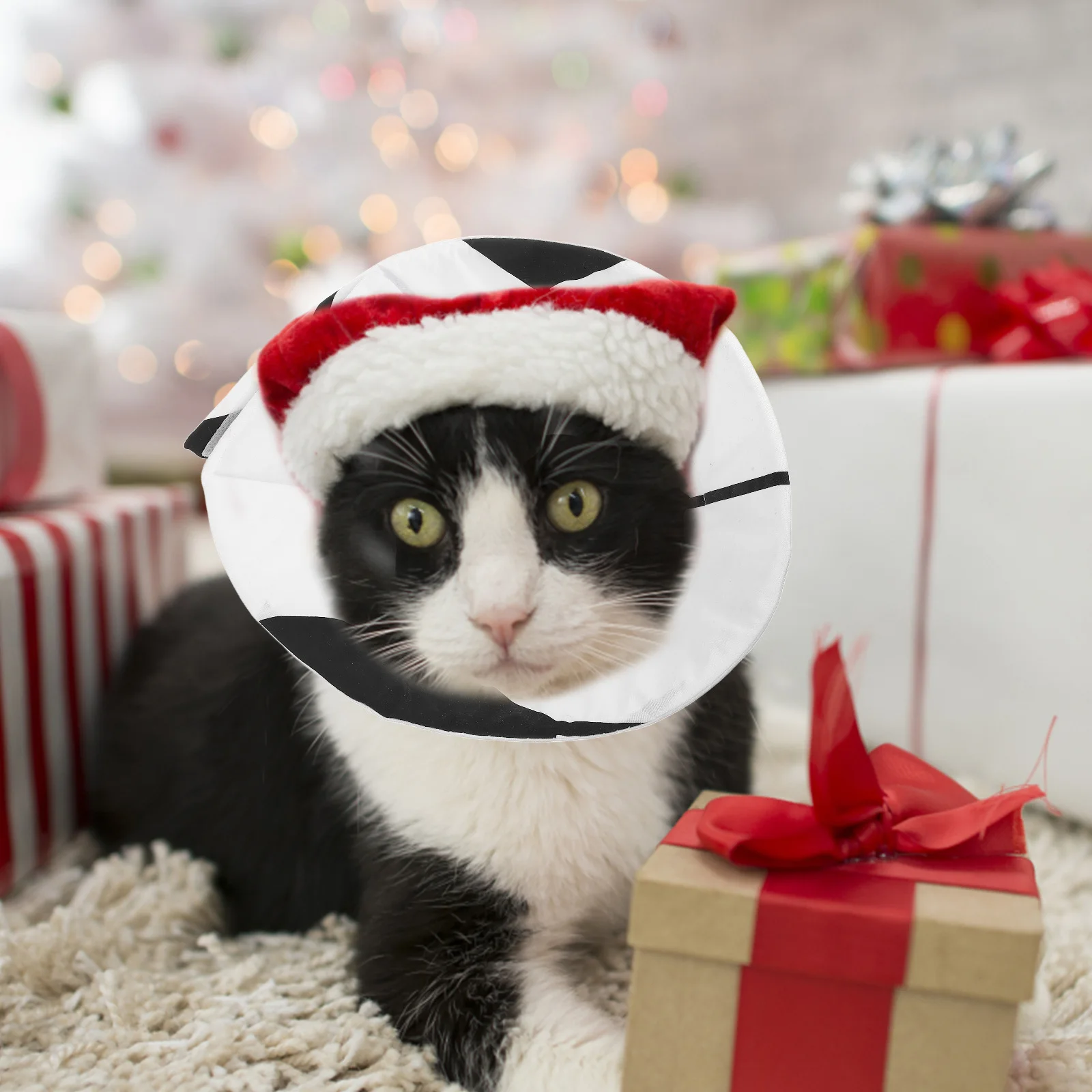 Soft Adjustable Elizabethan Collar Cat Dog Neck Protector for Comfortable Recovery Anti-Lick Protection Small Dog Collar
Soft Adjustable Elizabethan Collar Cat Dog Neck Protector for Comfortable Recovery Anti-Lick Protection Small Dog Collar