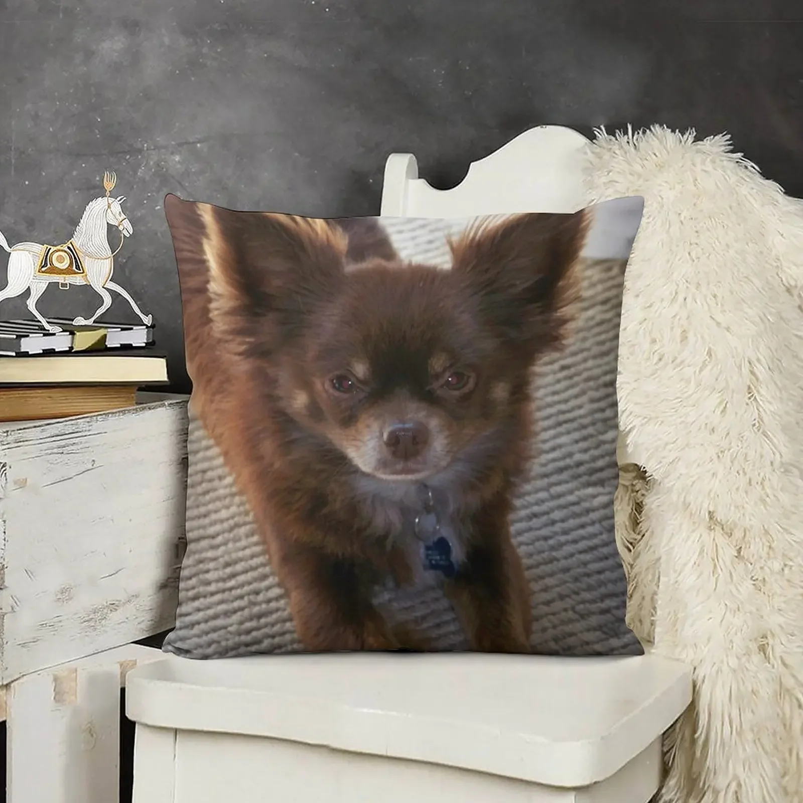 Chocolate Long Coat Chihuahua Throw Pillow Decorative Cushions For Luxury Sofa pillow cover luxury Cushion Child pillow
Chocolate Long Coat Chihuahua Throw Pillow Decorative Cushions For Luxury Sofa pillow cover luxury Cushion Child pillow