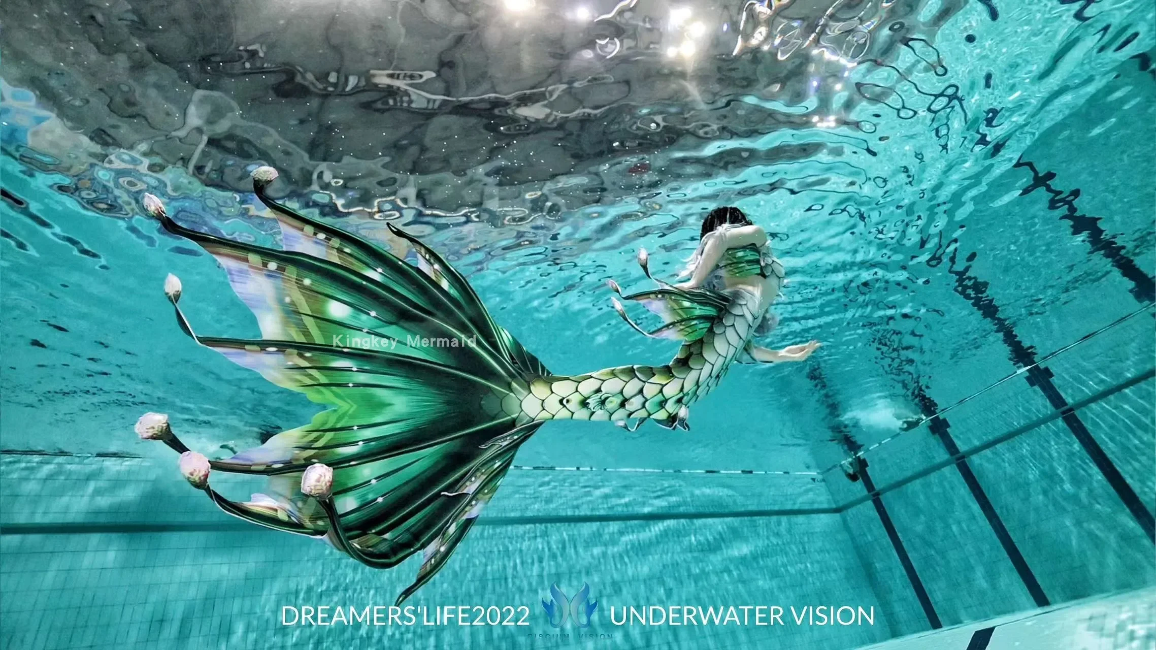 Whale Song Medusa Medusa Original Mermaid Tail Custom Free Diving Photography Swimsuit Fishtail Skirt
Whale Song Medusa Medusa Original Mermaid Tail Custom Free Diving Photography Swimsuit Fishtail Skirt