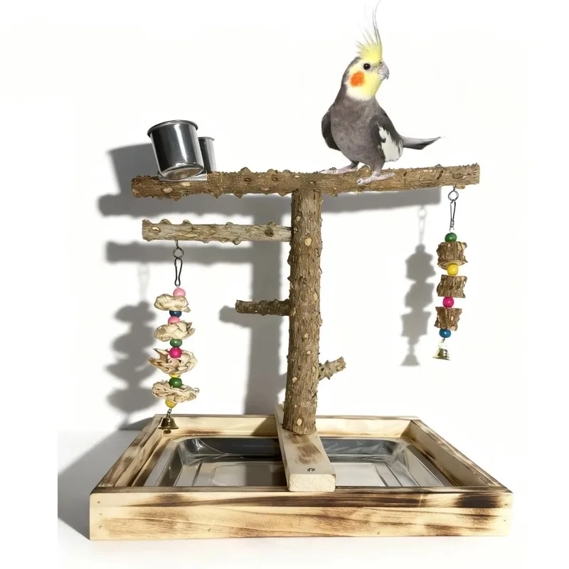 Luxury Eco-Friendly Solid Wood Parrot Perch Stand Bird Toy Training Supplies Interactive Playground for Birds
Luxury Eco-Friendly Solid Wood Parrot Perch Stand Bird Toy Training Supplies Interactive Playground for Birds