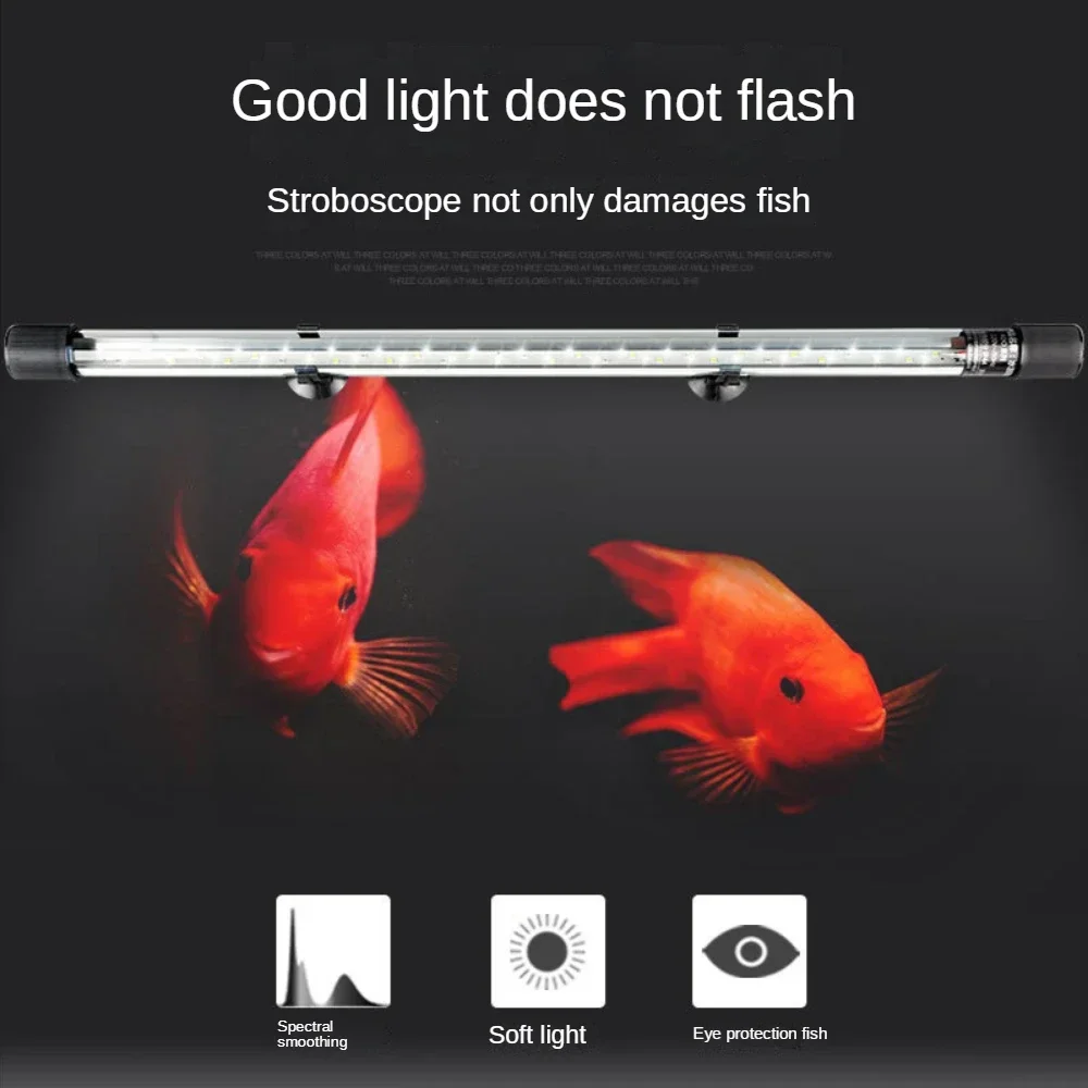 LED Glass Aquarium Landscape Lamp, Arowana Lamp, Parrot Fish, Tropical Fish, Coral, Waterproof, Tank Diving , Aquarium Lands
LED Glass Aquarium Landscape Lamp, Arowana Lamp, Parrot Fish, Tropical Fish, Coral, Waterproof, Tank Diving , Aquarium Lands