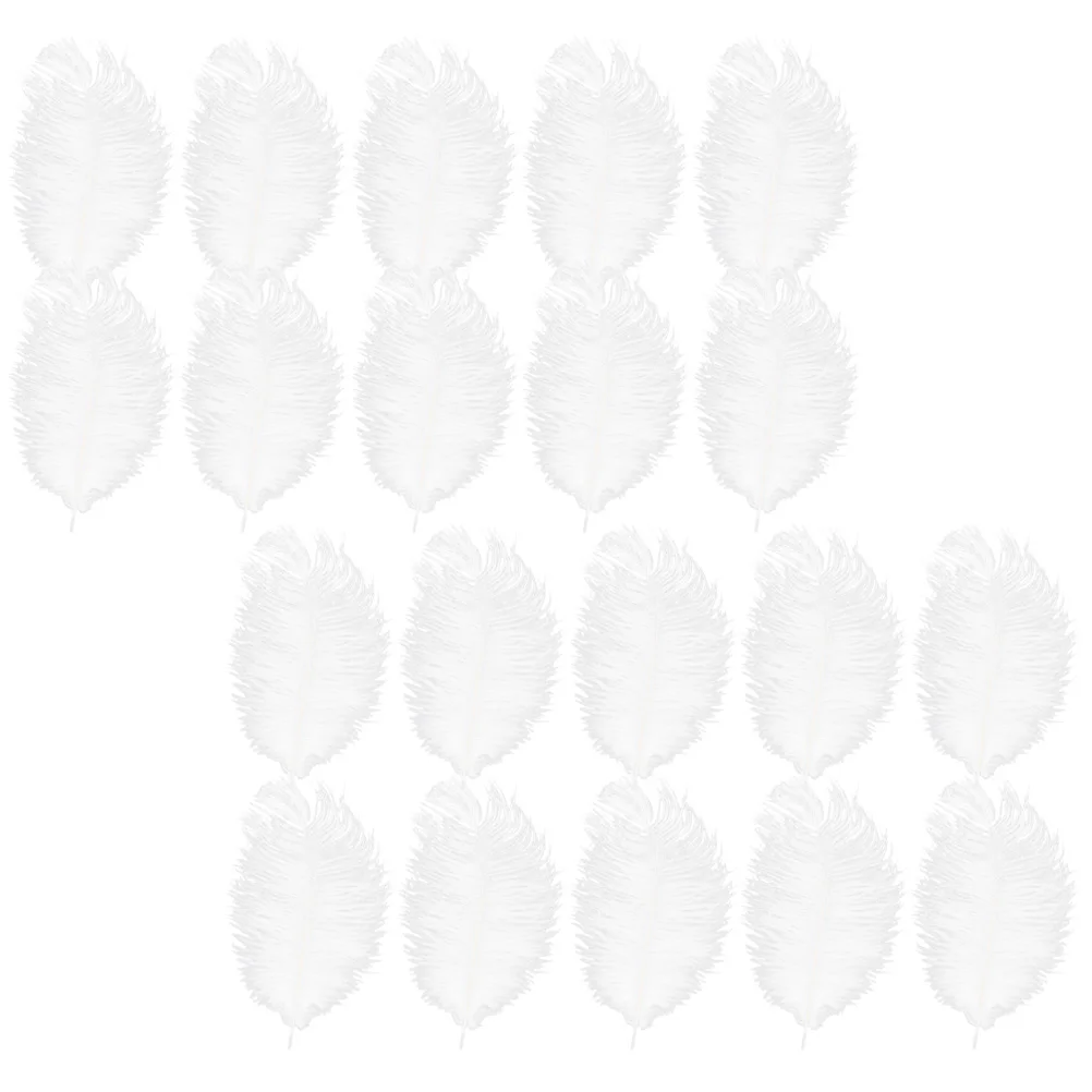 20pcs Ostrich Natural Crafts Plumes Party Centerpieces White Decorative Ornament Home Table Decorations DIY Craft
20pcs Ostrich Natural Crafts Plumes Party Centerpieces White Decorative Ornament Home Table Decorations DIY Craft