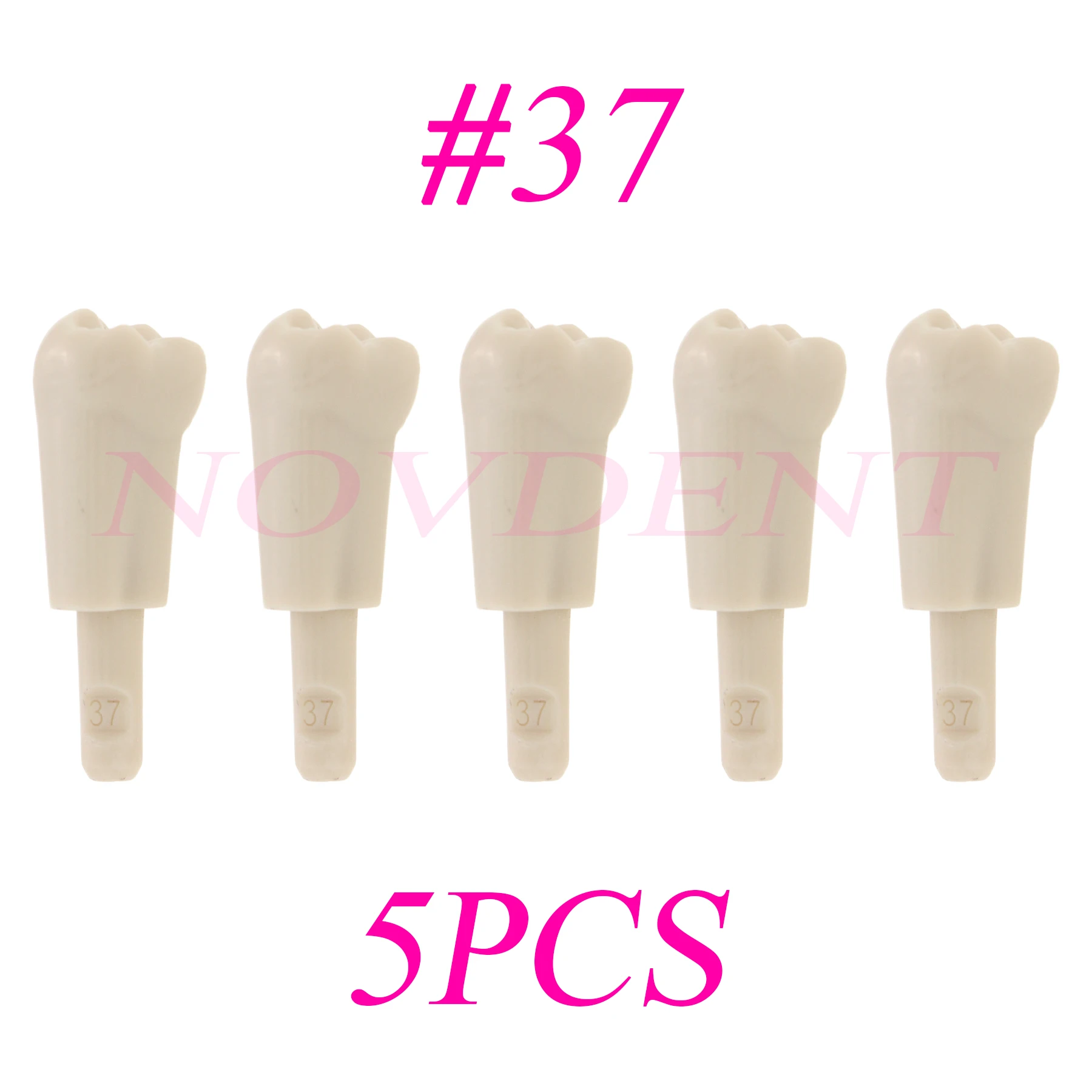Dental Models KaVo Basic Model teeth Retention Mechanism Dental Retainer Model #37 Replacement Teeth Exercise Practice
Dental Models KaVo Basic Model teeth Retention Mechanism Dental Retainer Model #37 Replacement Teeth Exercise Practice
