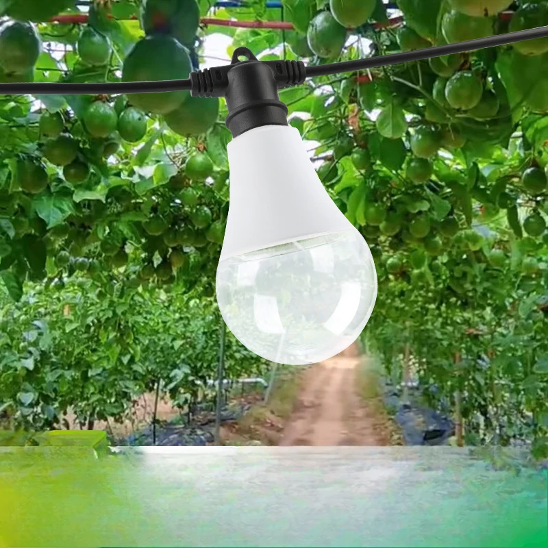 Full Spectrum Plant Supplemental Light A60 Passion Fruit Dragon Fruit Planting Growth Light Outdoor Waterproof Plant Globe Lamp
Full Spectrum Plant Supplemental Light A60 Passion Fruit Dragon Fruit Planting Growth Light Outdoor Waterproof Plant Globe Lamp