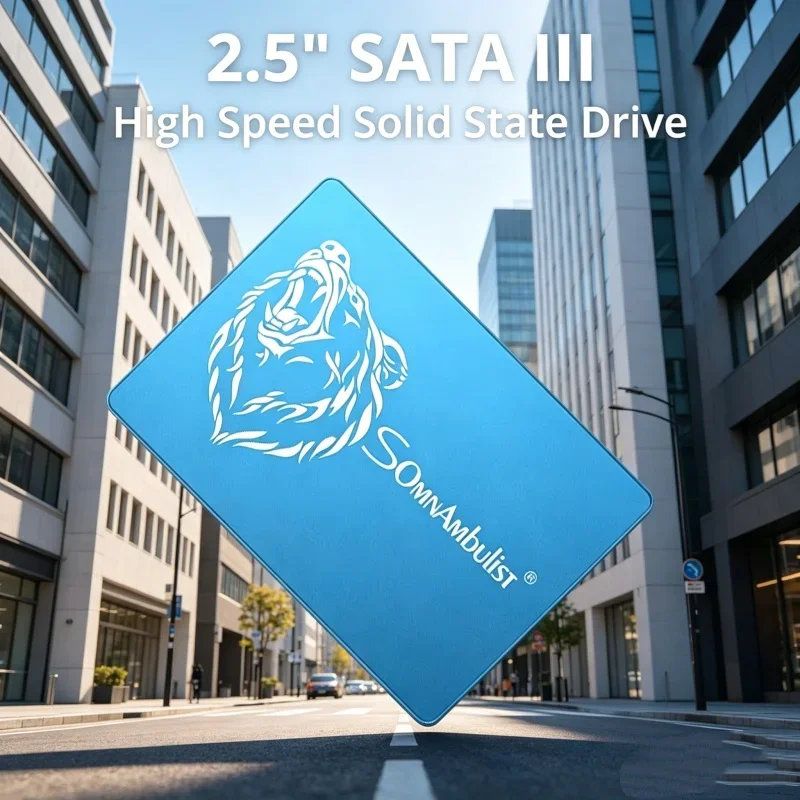 Thalassic SomnAmbulist Sata3 SSD 1TB 2TB SSD Indomitable Solid State Drive 128GB 240GB 256GB 480GB 512GB 960GB
Thalassic SomnAmbulist Sata3 SSD 1TB 2TB SSD Indomitable Solid State Drive 128GB 240GB 256GB 480GB 512GB 960GB