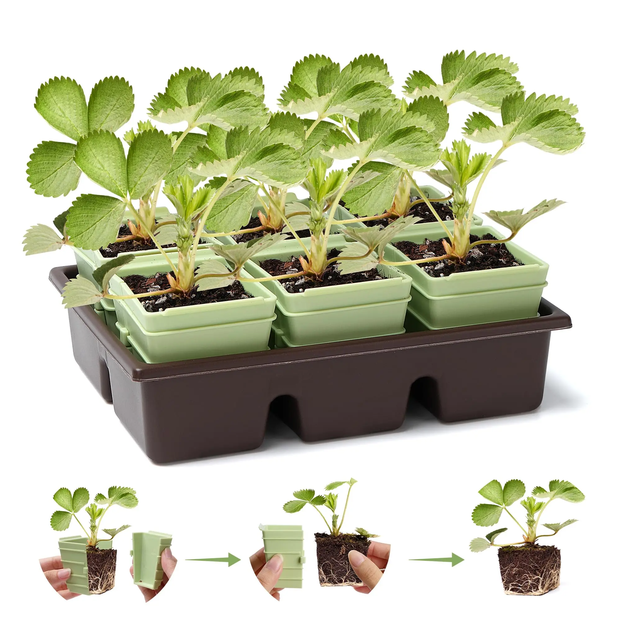 Side-Open Seed Starter Tray 8-Pack 48 Cells Modular Detachable Plant Cells Reusable Germination Kit
Side-Open Seed Starter Tray 8-Pack 48 Cells Modular Detachable Plant Cells Reusable Germination Kit