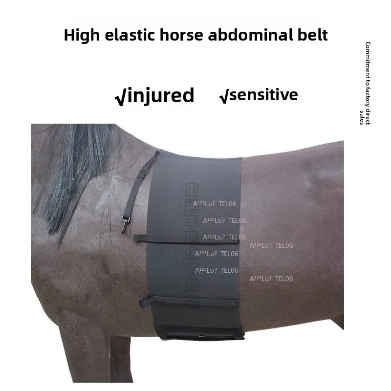 High elastic horse belly belt injured horse belly sensitive parts protection new rider horse belly protective harness factory
High elastic horse belly belt injured horse belly sensitive parts protection new rider horse belly protective harness factory