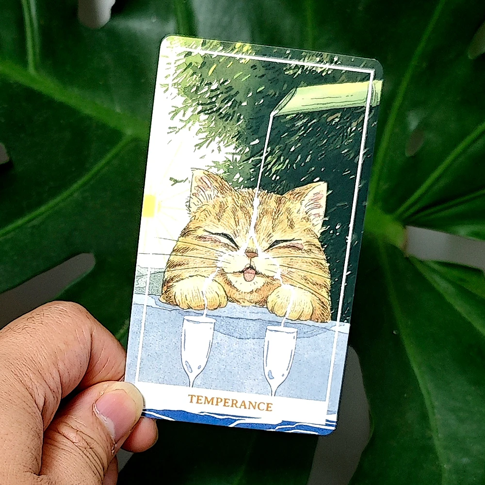 Sunny Orange Cat Tarot - 10.3*6cm Whimsical Cartoon Kitty Tarot Deck for Beginners 78 Pcs Tarot Cards
Sunny Orange Cat Tarot - 10.3*6cm Whimsical Cartoon Kitty Tarot Deck for Beginners 78 Pcs Tarot Cards