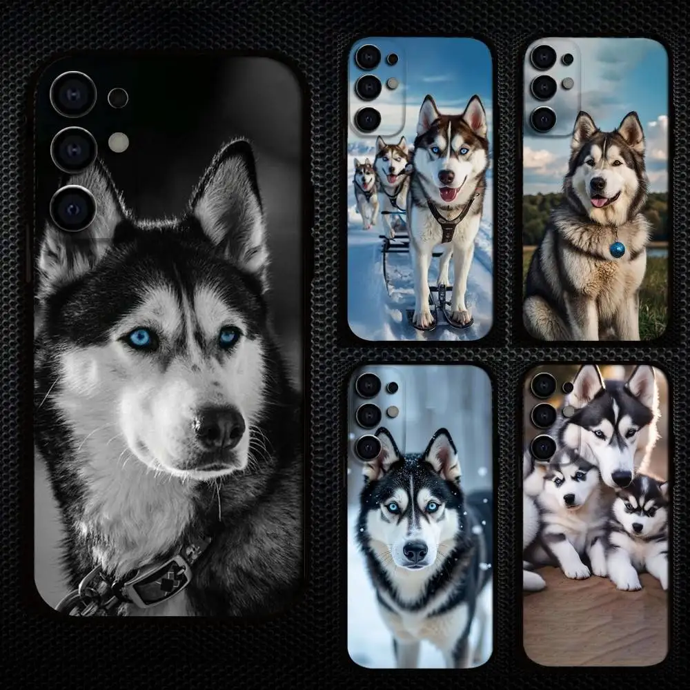 Husky Dog Siberian Phone Case For Samsung S25,S24,S21,S22,S23,S30,Ultra,S20,Plus,Fe,Lite,Note,10,9,5G Black Cover
Husky Dog Siberian Phone Case For Samsung S25,S24,S21,S22,S23,S30,Ultra,S20,Plus,Fe,Lite,Note,10,9,5G Black Cover