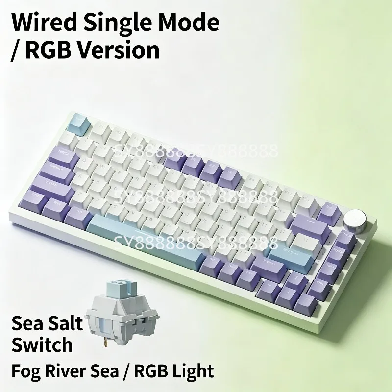 Wired Mechanical Keyboard For AK820 Custom 75 Hot Swappable Gasket Gaming Side Printed Keycaps
Wired Mechanical Keyboard For AK820 Custom 75 Hot Swappable Gasket Gaming Side Printed Keycaps