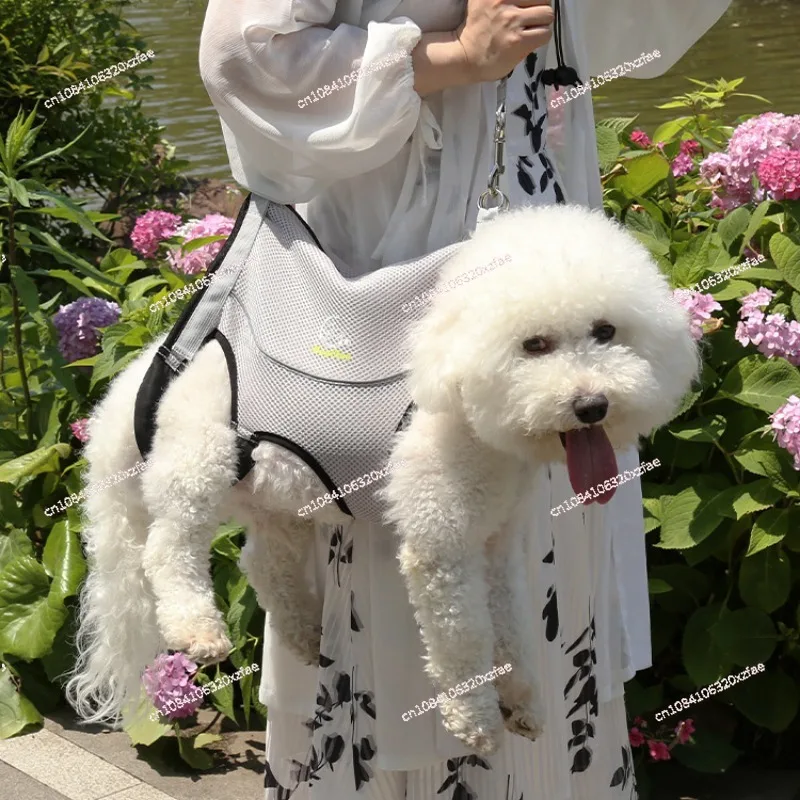 Pet dog cat walking aid with elderly elderly dog fractured up and down stairs front and rear legs disabled portable leash
Pet dog cat walking aid with elderly elderly dog fractured up and down stairs front and rear legs disabled portable leash