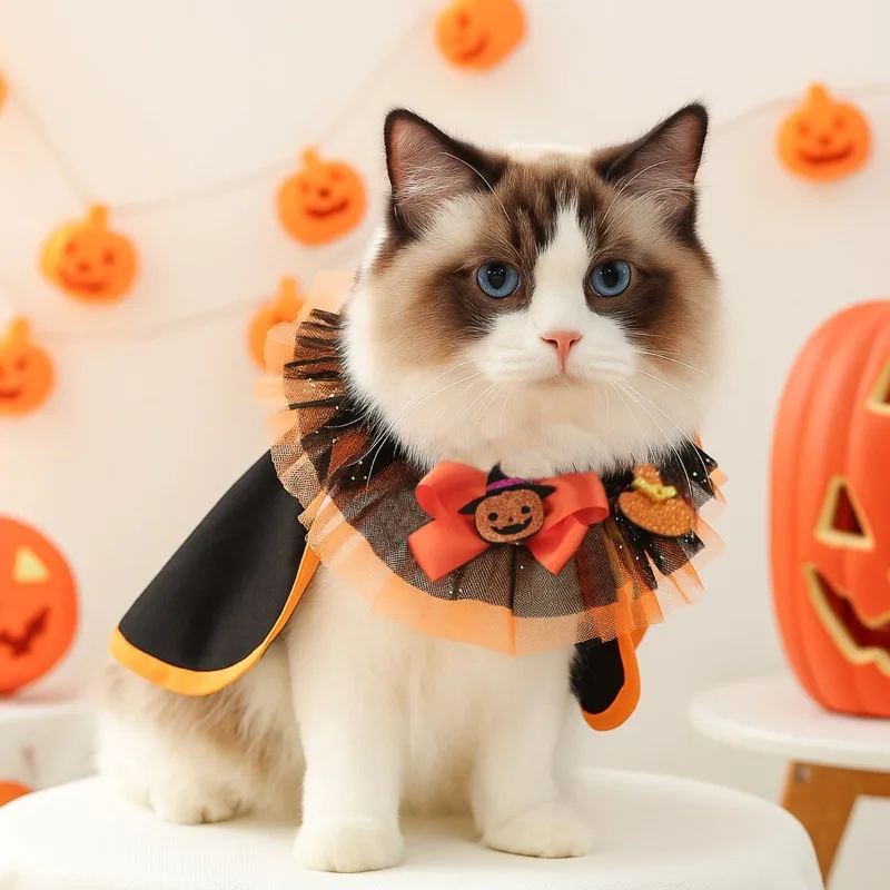 Halloween Pet Bandana For Dogs Cats Witch Collar Pumpkin Tulle Scarf Adjustable Bib With Bowtie Pet Accessories For Puppy Kitten
Halloween Pet Bandana For Dogs Cats Witch Collar Pumpkin Tulle Scarf Adjustable Bib With Bowtie Pet Accessories For Puppy Kitten