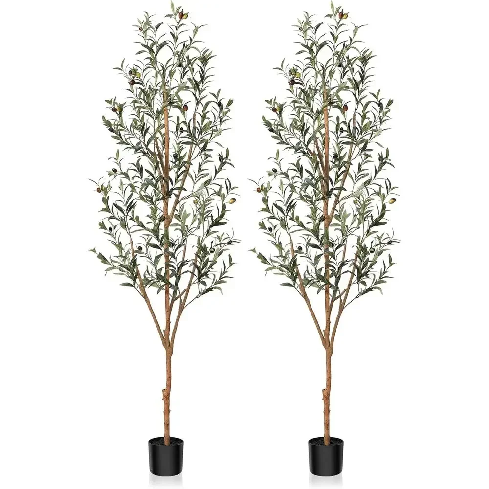 6ft Tall Artificial Olive Tree with Natural Wood Trunk and Realistic Fruits, Set of 2 for Home or Office Decor
6ft Tall Artificial Olive Tree with Natural Wood Trunk and Realistic Fruits, Set of 2 for Home or Office Decor