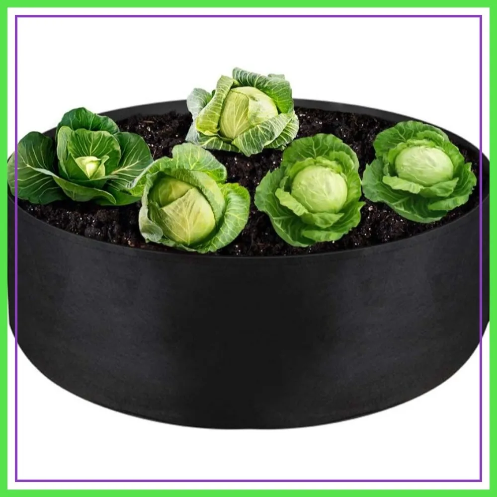 15 Gallon Heavy Duty Fabric Grow Bag, 24" D x 8" H, Black - Round Raised Garden Bed for Herbs, Flowers, Vegetables, Potatoes
15 Gallon Heavy Duty Fabric Grow Bag, 24" D x 8" H, Black - Round Raised Garden Bed for Herbs, Flowers, Vegetables, Potatoes