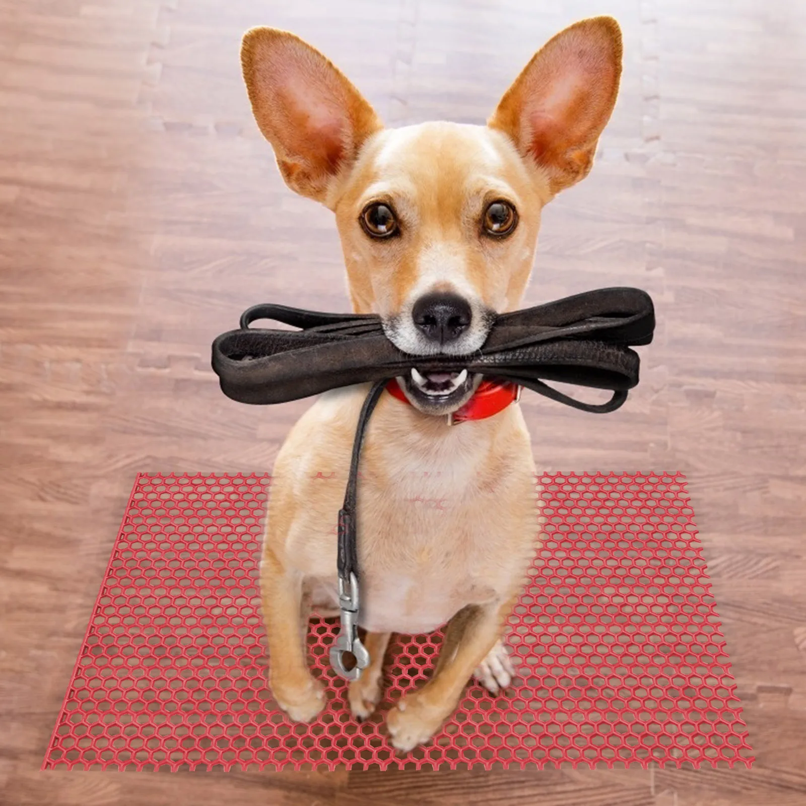 1pc Dog Pad High Quality Pet Cage Drainage Base Plate Easy Cleaning Pet Supply Cage Accessory Isolation Mat Urine Drain Pad
1pc Dog Pad High Quality Pet Cage Drainage Base Plate Easy Cleaning Pet Supply Cage Accessory Isolation Mat Urine Drain Pad