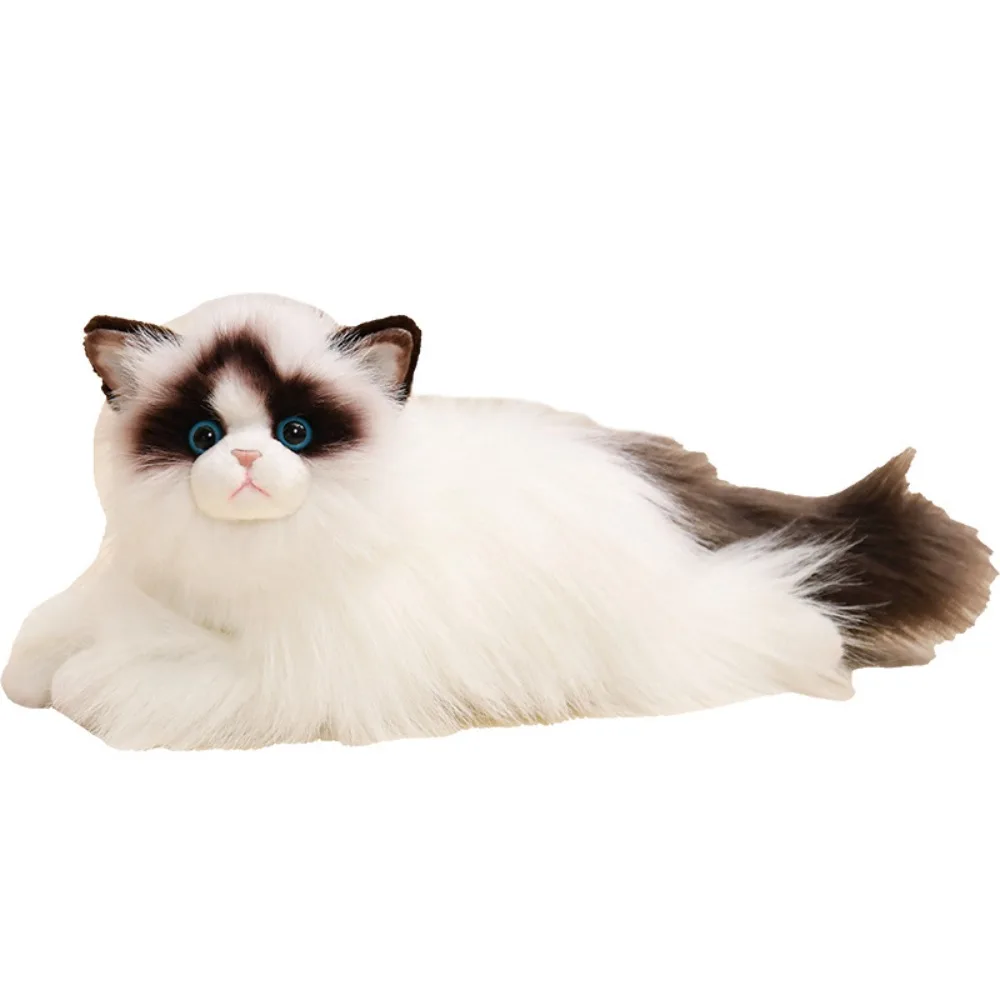 Stuffed Doll Simulated Cat Plush Toys Long Hair Collection Ragdoll Cat Plush Toy Comfort 50cm Plush Kitty Figures Toy
Stuffed Doll Simulated Cat Plush Toys Long Hair Collection Ragdoll Cat Plush Toy Comfort 50cm Plush Kitty Figures Toy