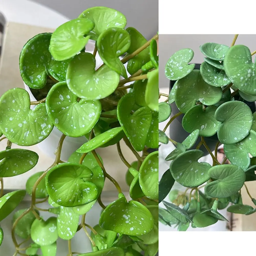 Bonsai Plants Soft Artificial Copper Coin Grass Plants Realistic Handmade Fake Ivy Leaf Leaves Wall Hanging Mini Bouquet Garden
Bonsai Plants Soft Artificial Copper Coin Grass Plants Realistic Handmade Fake Ivy Leaf Leaves Wall Hanging Mini Bouquet Garden