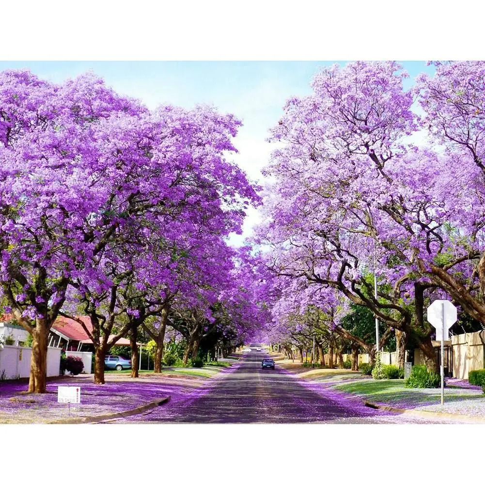 4495541 Digital oil painting living room decorative painting sofa background wall hanging painting
4495541 Digital oil painting living room decorative painting sofa background wall hanging painting