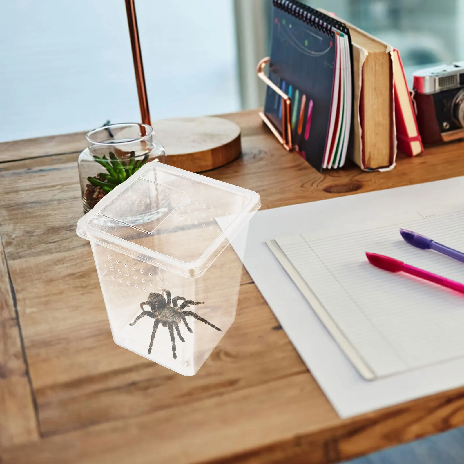 Reptile Pet Terrarium Clear Feeding Box Spider Snail Frog Gecko Tank Insect Habitat Enclosure Breeding Container
Reptile Pet Terrarium Clear Feeding Box Spider Snail Frog Gecko Tank Insect Habitat Enclosure Breeding Container