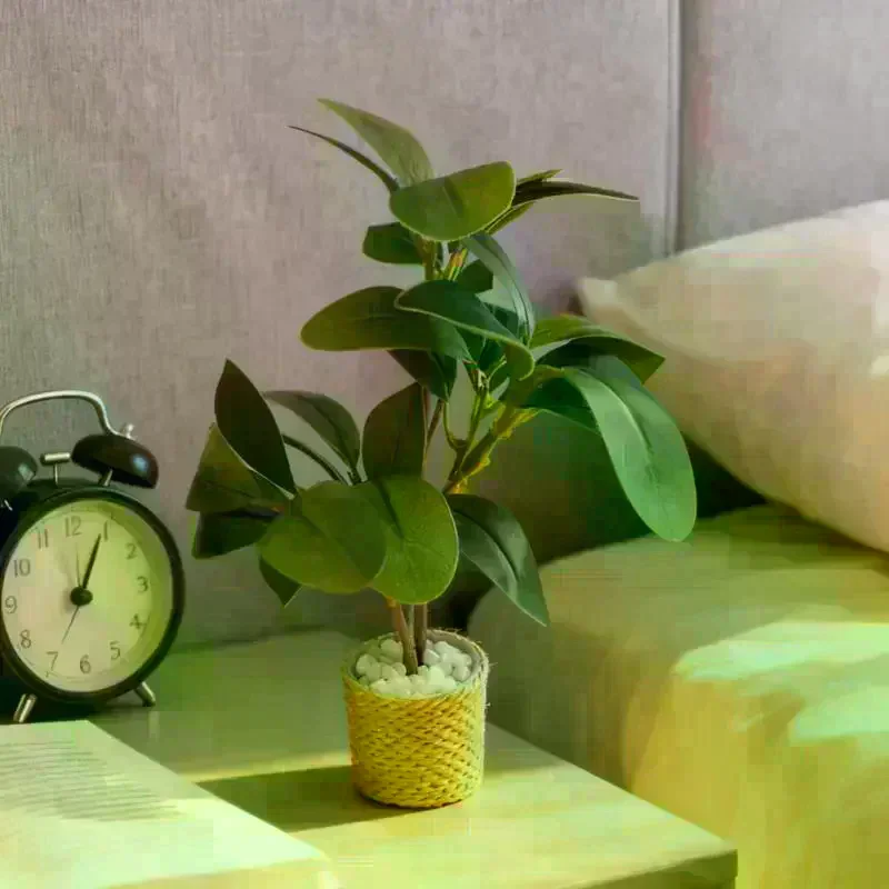 Миниатюрные растения в горшках для кукольного домика 1/6, имитация зеленых растений, модель для декора сада и микроландшафта, украшения для дома кукол
Миниатюрные растения в горшках для кукольного домика 1/6, имитация зеленых растений, модель для декора сада и микроландшафта, украшения для дома кукол