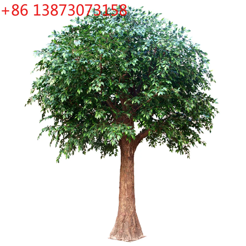 Simulation banyan fiberglass tree 1:1 replica indoor shopping mall theme hotel large fake tree
Simulation banyan fiberglass tree 1:1 replica indoor shopping mall theme hotel large fake tree