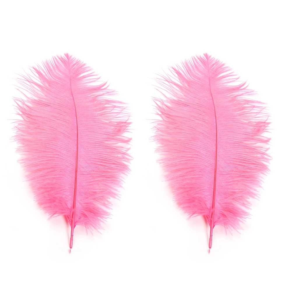10pcs Ostrich Decoration Ostrich Natural Decorative Wedding Craft Trimmings Party Costumes Home Accessories
10pcs Ostrich Decoration Ostrich Natural Decorative Wedding Craft Trimmings Party Costumes Home Accessories