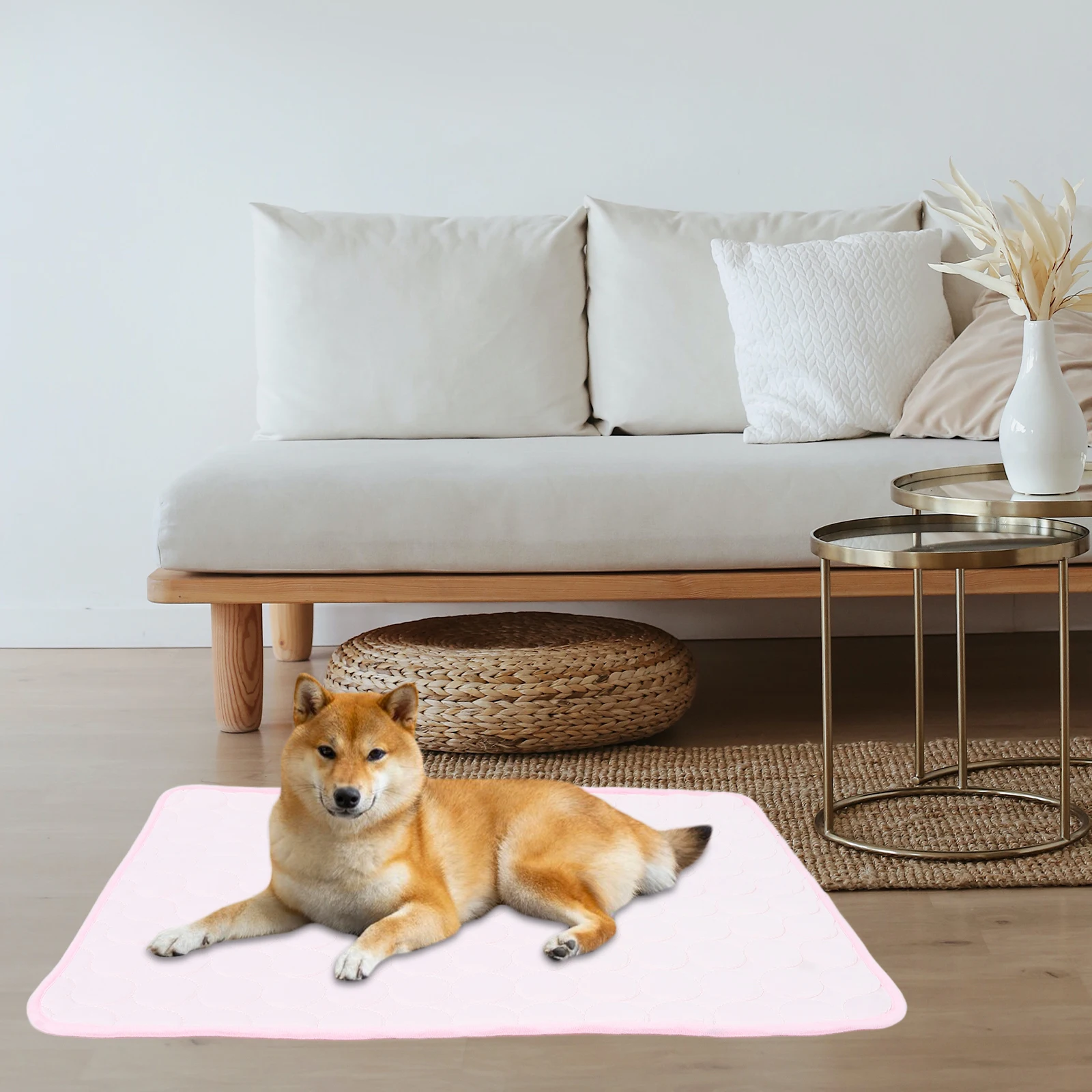 Dog Cooling Pad Pet Mat Pads Summer Indoors along with Cushion Detachable for Pets
Dog Cooling Pad Pet Mat Pads Summer Indoors along with Cushion Detachable for Pets