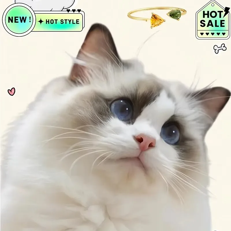 Cat Accessories 2025 Spain Original Jewelry Bracelet High Quality Gift Suitable for Giving To People and Girls To Wear
Cat Accessories 2025 Spain Original Jewelry Bracelet High Quality Gift Suitable for Giving To People and Girls To Wear