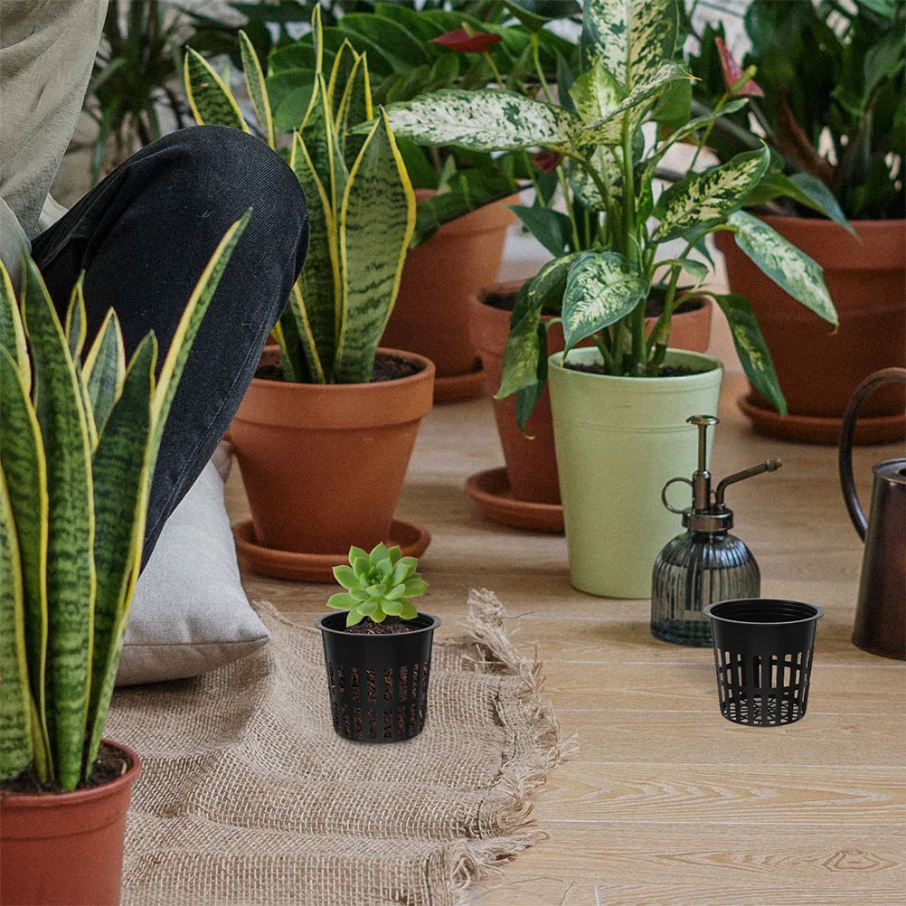 15Pcs Hydroponic Plant Basket Net Pots 4 Inch Plastic Mesh Slotted Cups Nursery Growing Container Balcony Garden Planter 
15Pcs Hydroponic Plant Basket Net Pots 4 Inch Plastic Mesh Slotted Cups Nursery Growing Container Balcony Garden Planter