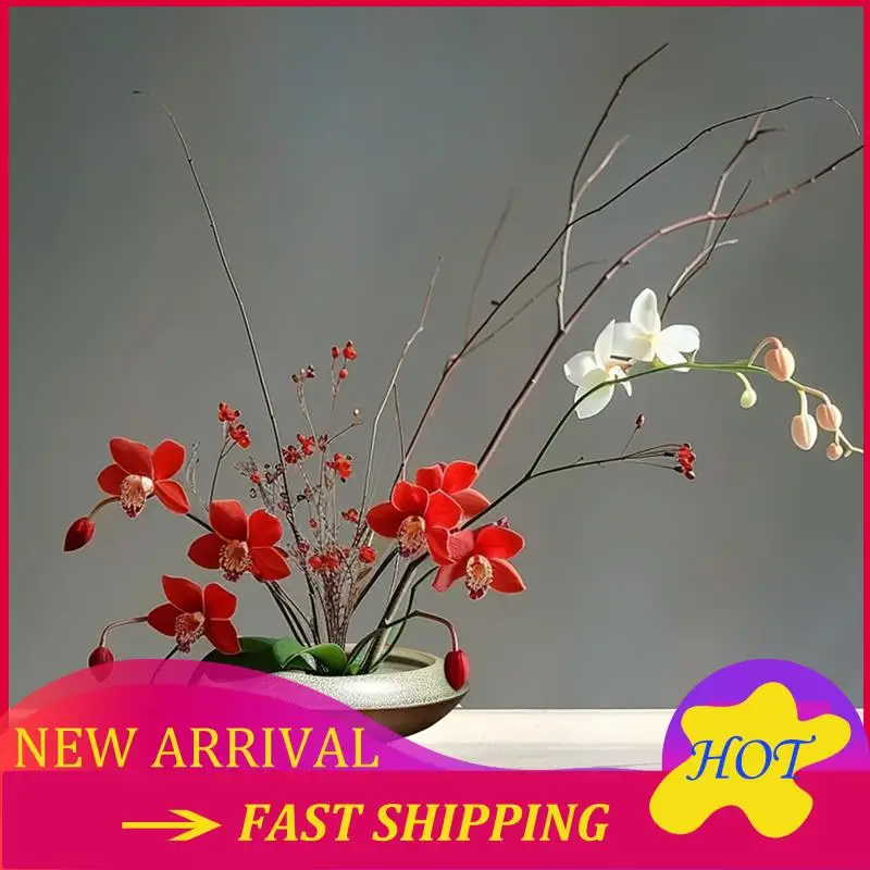 Vase Kit Vase Flower Frog Vase For Displays Moss & Hydroponic Plants Decor Gift B
Vase Kit Vase Flower Frog Vase For Displays Moss & Hydroponic Plants Decor Gift B
