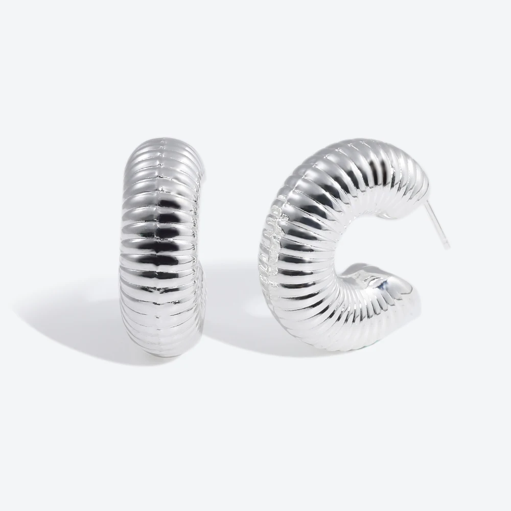 Glossisland 925 silver plated stainless steel ladies Hollow threaded large ear ring Silver white trendy jewelry accessories
Glossisland 925 silver plated stainless steel ladies Hollow threaded large ear ring Silver white trendy jewelry accessories