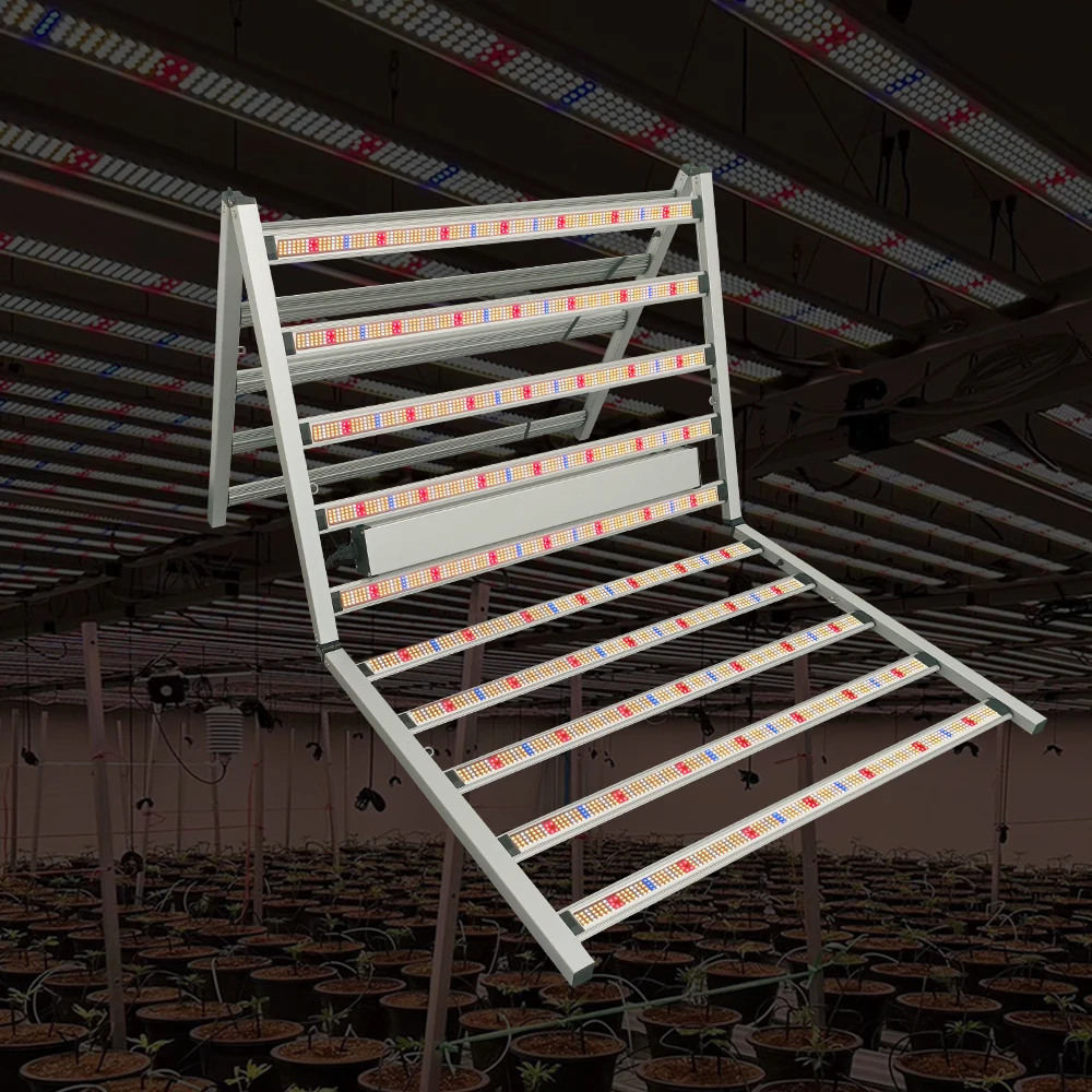 High PPF SAUMSUNG LM301H 281B 301B Chips Full Spectrum Bar Led Grow Light 1500w For Commercial Indoor Farm Plants
High PPF SAUMSUNG LM301H 281B 301B Chips Full Spectrum Bar Led Grow Light 1500w For Commercial Indoor Farm Plants