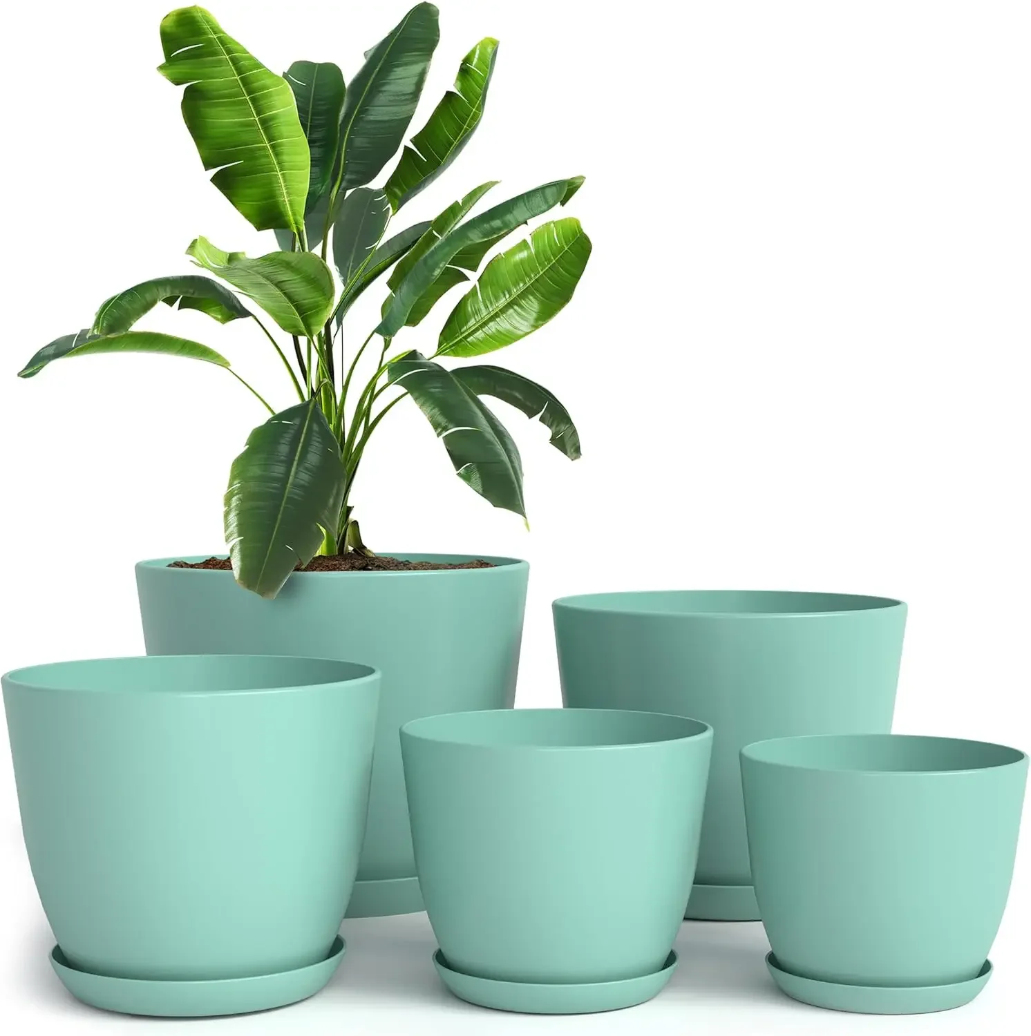 5-Pack Plastic Plant Pots with Drainage Holes - 7/6.6/6/5.3/4.8 Inch Sizes for Indoor Plants, Home Decor & Gifts
5-Pack Plastic Plant Pots with Drainage Holes - 7/6.6/6/5.3/4.8 Inch Sizes for Indoor Plants, Home Decor & Gifts