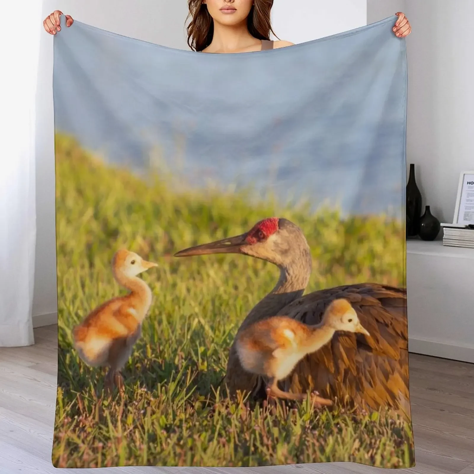 Sandhill crane with colts Throw Blanket Machine Washable Soft Warm Blanket
Sandhill crane with colts Throw Blanket Machine Washable Soft Warm Blanket