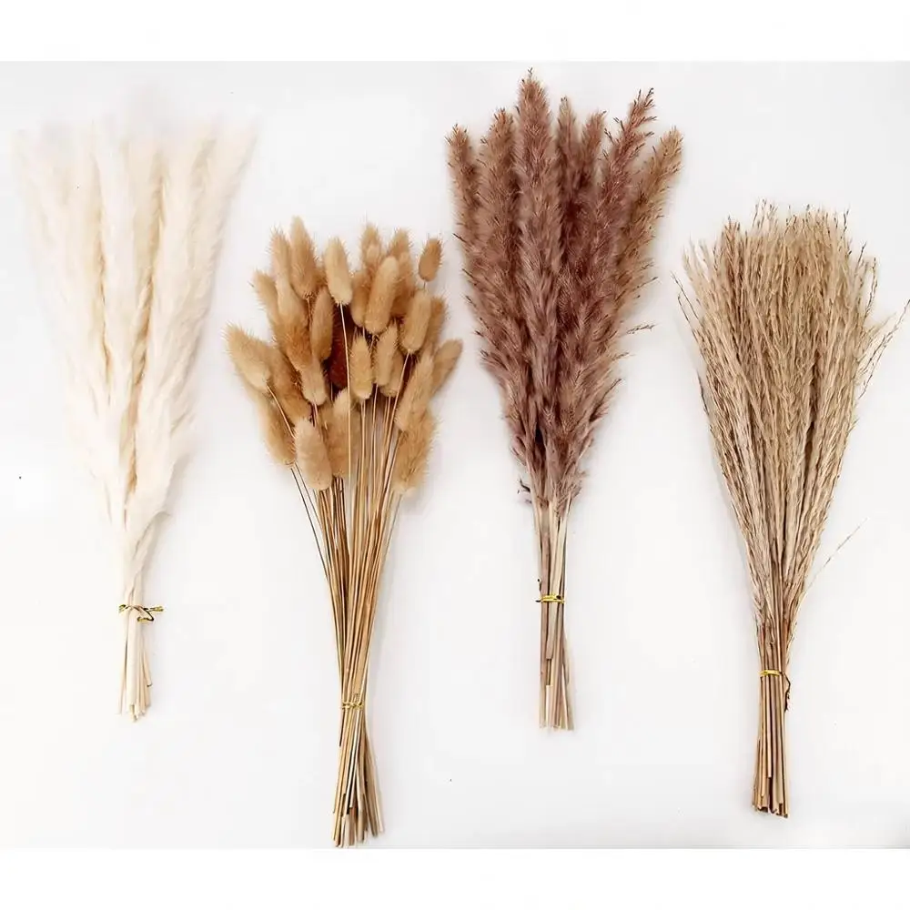 100 Stems Dried Pampas Grass with Bunny Tails, White and Brown, 17 Tall, Ideal for Rustic Home and Wedding Decor
100 Stems Dried Pampas Grass with Bunny Tails, White and Brown, 17 Tall, Ideal for Rustic Home and Wedding Decor