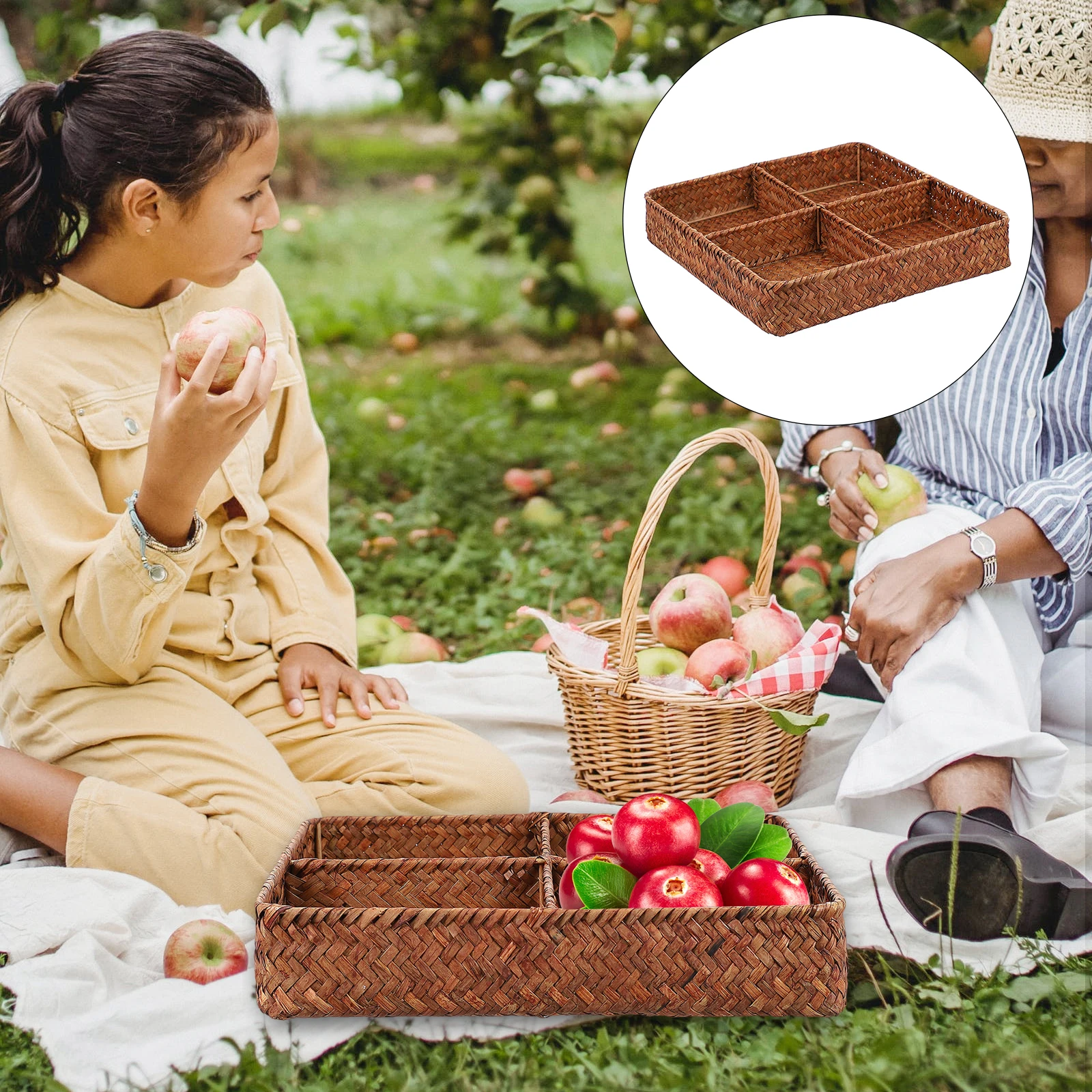 1pc Coffee Table Storage Basket Multi-Purpose Cattail Grass Compartment Household Home Fruit Woven Desktopsturdy
1pc Coffee Table Storage Basket Multi-Purpose Cattail Grass Compartment Household Home Fruit Woven Desktopsturdy