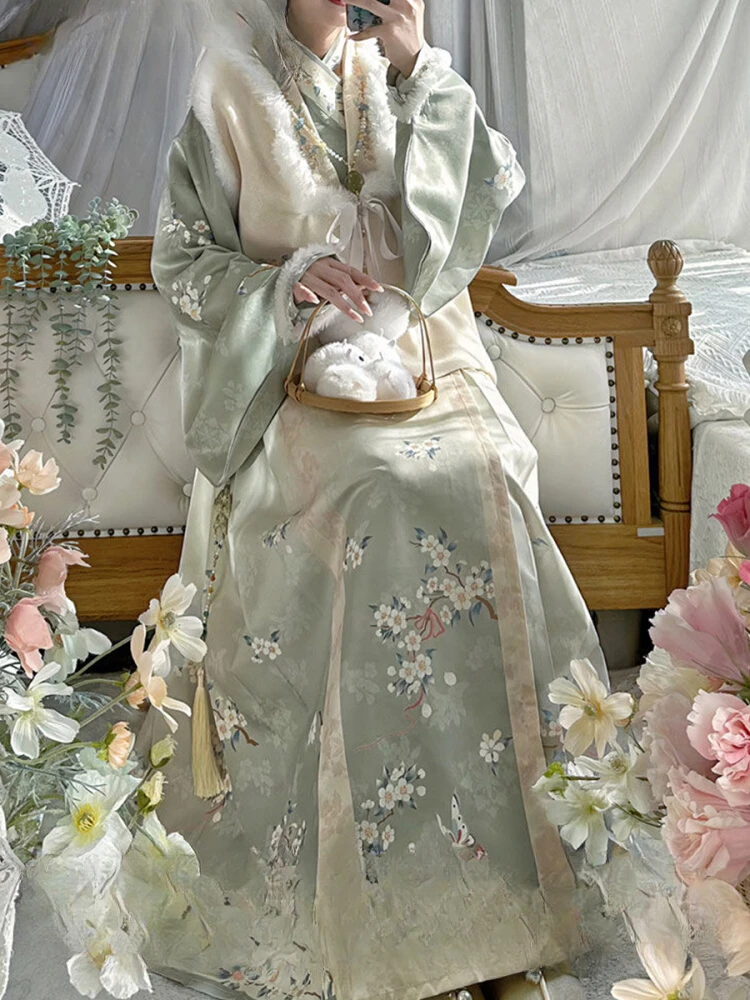 Hanfu Women's Ming Dynasty Collar Embroidered Bijia Standing Collar Pipa Sleeves Horse Face Skirt Daily Winter Style
Hanfu Women's Ming Dynasty Collar Embroidered Bijia Standing Collar Pipa Sleeves Horse Face Skirt Daily Winter Style