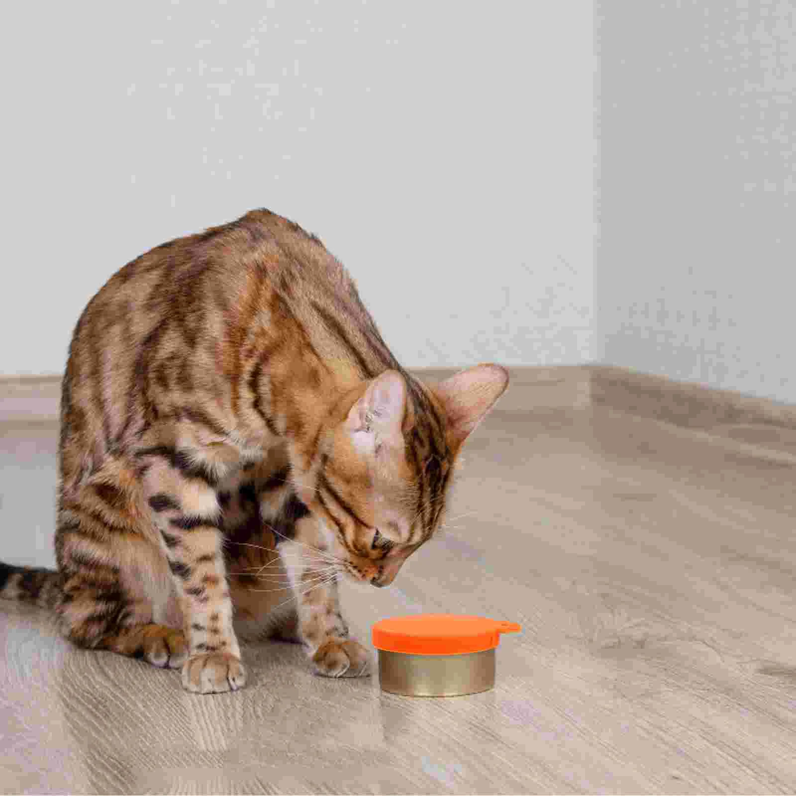 6 Pcs Silicone Can Covers Sealing for Beverage Pet Food Cans Soft Flexible Reusable Leakproof Various Colors
6 Pcs Silicone Can Covers Sealing for Beverage Pet Food Cans Soft Flexible Reusable Leakproof Various Colors