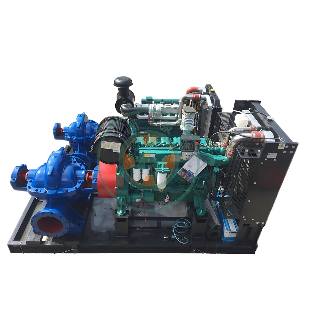 Hydroelectric Power Station Seawater Drainage Double Suction Pumps Diesel Engine Driven Pump Water Pump Industry High Flow
Hydroelectric Power Station Seawater Drainage Double Suction Pumps Diesel Engine Driven Pump Water Pump Industry High Flow