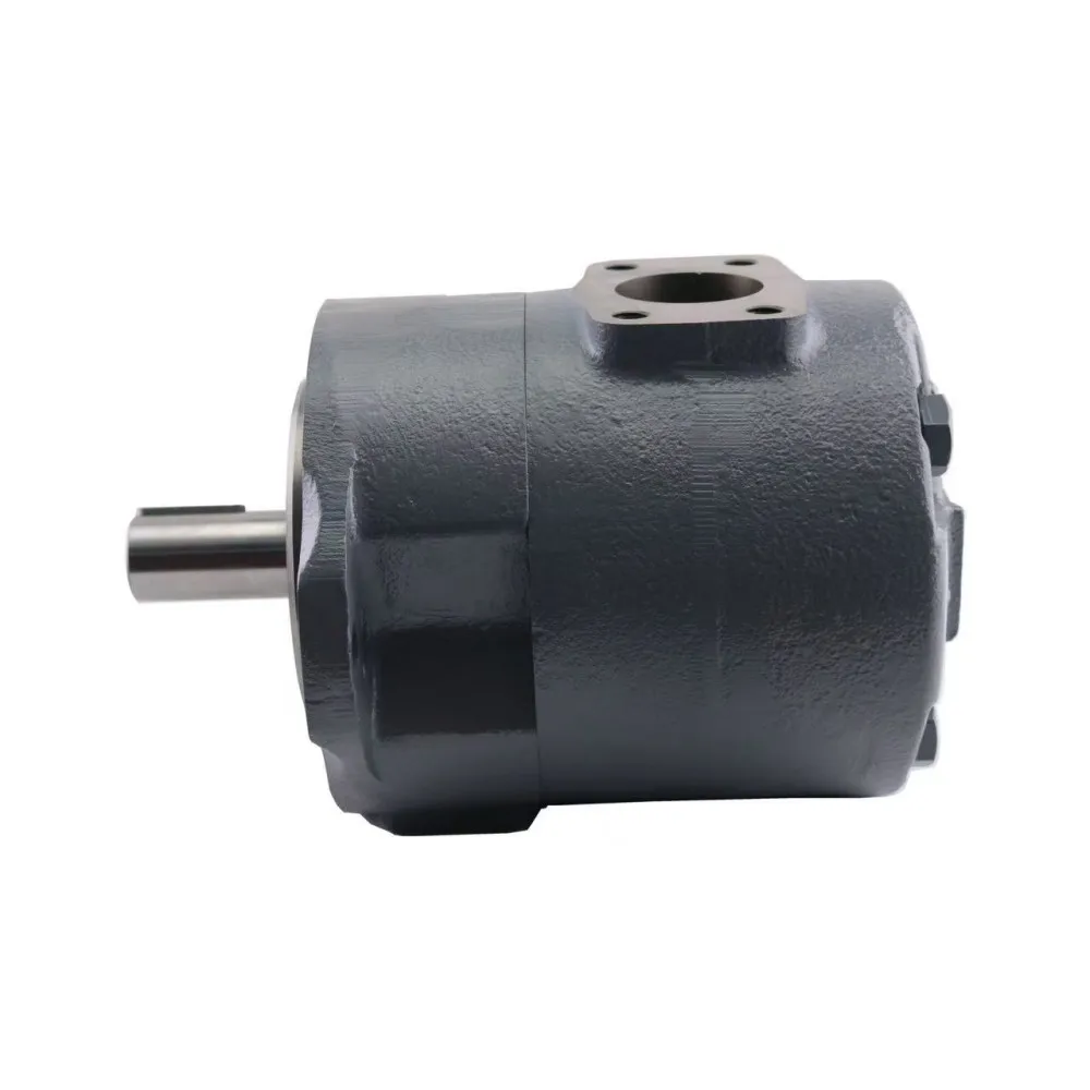 SQP Series SQP-30 SQP-25 SQP-19 Vane Oil Pumps (SQP1 SQP2 SQP3)
SQP Series SQP-30 SQP-25 SQP-19 Vane Oil Pumps (SQP1 SQP2 SQP3)