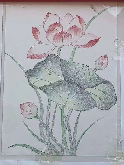 D3519HB-S Low Profile Programmable HV Brushless Servo for Etc Drift RC Car DIY Assembly Upgrading
D3519HB-S Low Profile Programmable HV Brushless Servo for Etc Drift RC Car DIY Assembly Upgrading