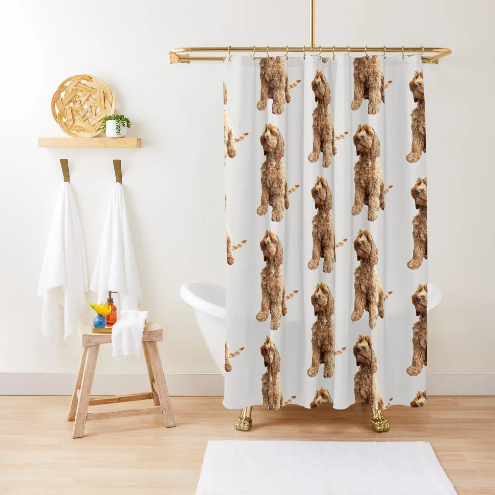 cavapoo spoodle cockapoo cockerpoo golden labradoodle doodle dog Shower Curtain Waterproof Shower Window Curtain
cavapoo spoodle cockapoo cockerpoo golden labradoodle doodle dog Shower Curtain Waterproof Shower Window Curtain