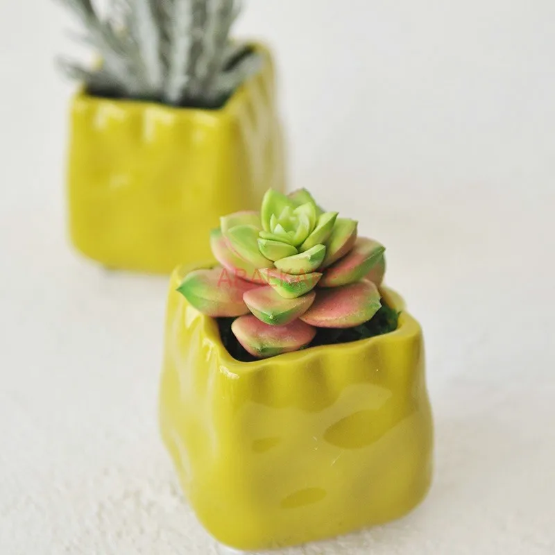 1PCS Simulated succulent plant small potted plant table decoration with fairy pillar small bonsai
1PCS Simulated succulent plant small potted plant table decoration with fairy pillar small bonsai