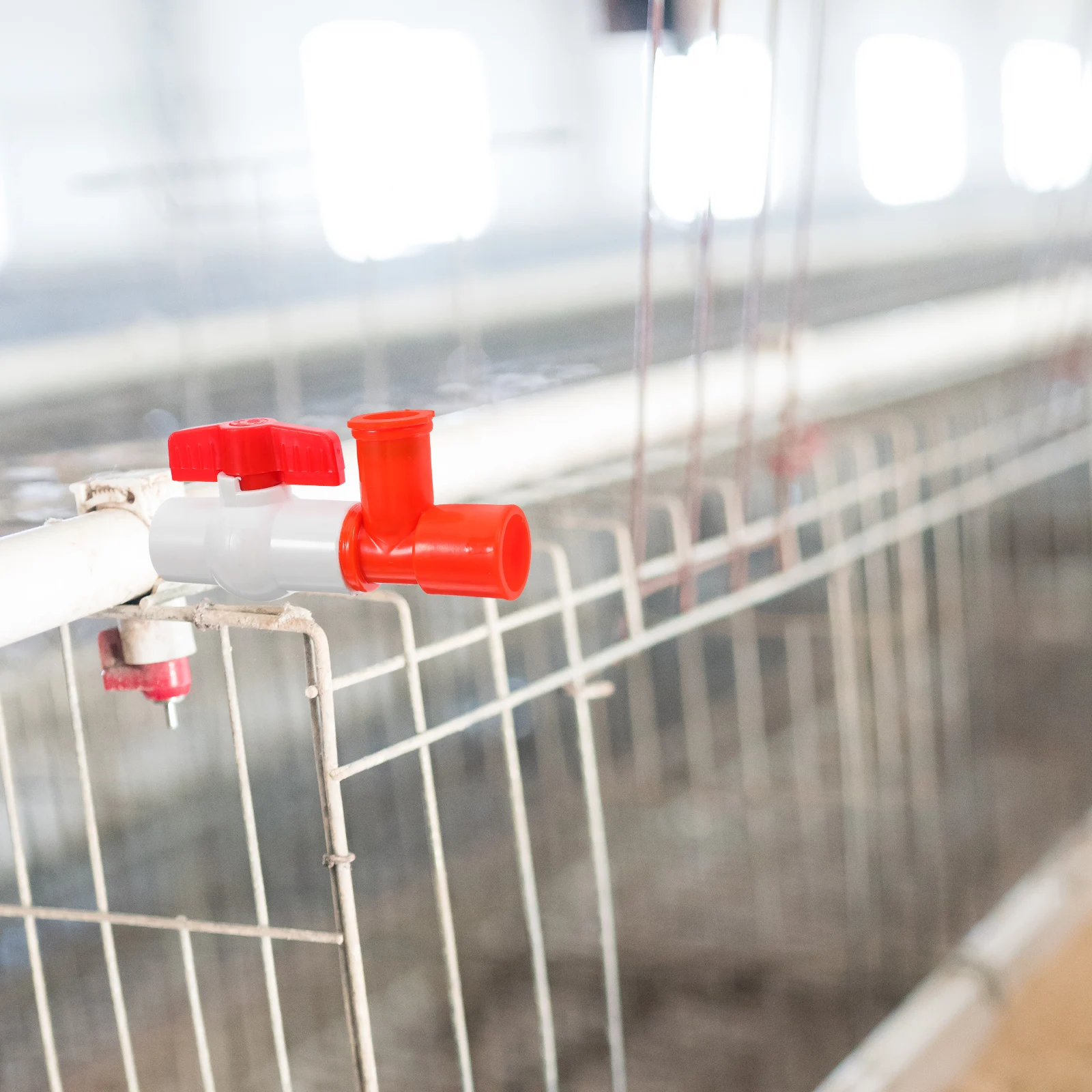 Poultry Farm Water Line Pressure Regulating Valve Stable Performance Accurate Control Safe Reusable Easy Installation Adjustable
Poultry Farm Water Line Pressure Regulating Valve Stable Performance Accurate Control Safe Reusable Easy Installation Adjustable