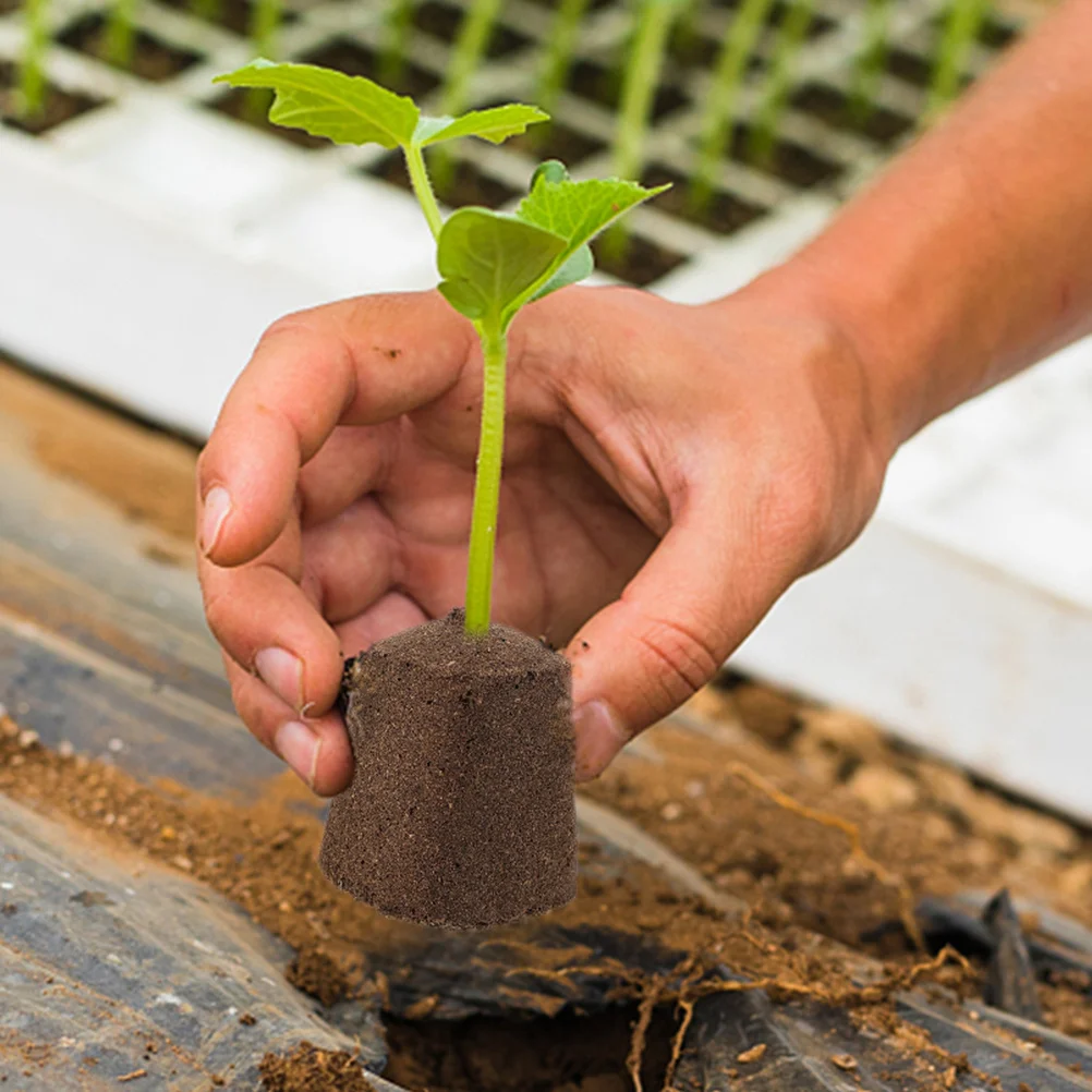 20Pcs Plant Nursery Blocks Nutrient Soil Block Soilless Cultivation High Water Retention Easy Transplant Flower Vegetable
20Pcs Plant Nursery Blocks Nutrient Soil Block Soilless Cultivation High Water Retention Easy Transplant Flower Vegetable