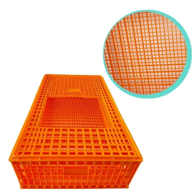 Plastic Live Poultry Animal Duck Pigeon Rabbit Transportation Cages Chicken Transport Crates
Plastic Live Poultry Animal Duck Pigeon Rabbit Transportation Cages Chicken Transport Crates