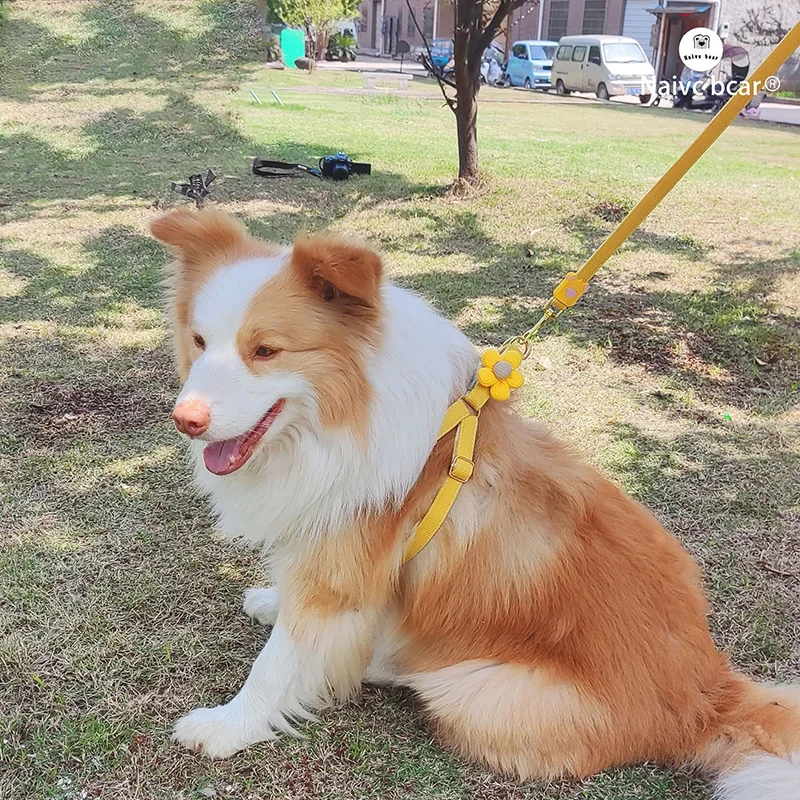 Lightweight Pet Dog Harness and Leash Set with Flower Decoration for Small Medium Dogs Chest Strap Leash Pet Accessories
Lightweight Pet Dog Harness and Leash Set with Flower Decoration for Small Medium Dogs Chest Strap Leash Pet Accessories
