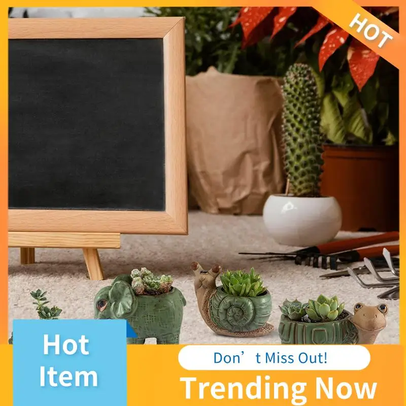Small Succulent Pot With Drainage, Indoor Plant, Cute Cactus Bonsai Pot, For Home Decoration
Small Succulent Pot With Drainage, Indoor Plant, Cute Cactus Bonsai Pot, For Home Decoration
