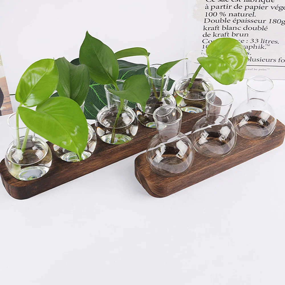 Modern Transparent Hydroponics Glass Vase with Wooden Tray Creative Plant Terrarium Propagation Station Desktop Decorating Vase
Modern Transparent Hydroponics Glass Vase with Wooden Tray Creative Plant Terrarium Propagation Station Desktop Decorating Vase