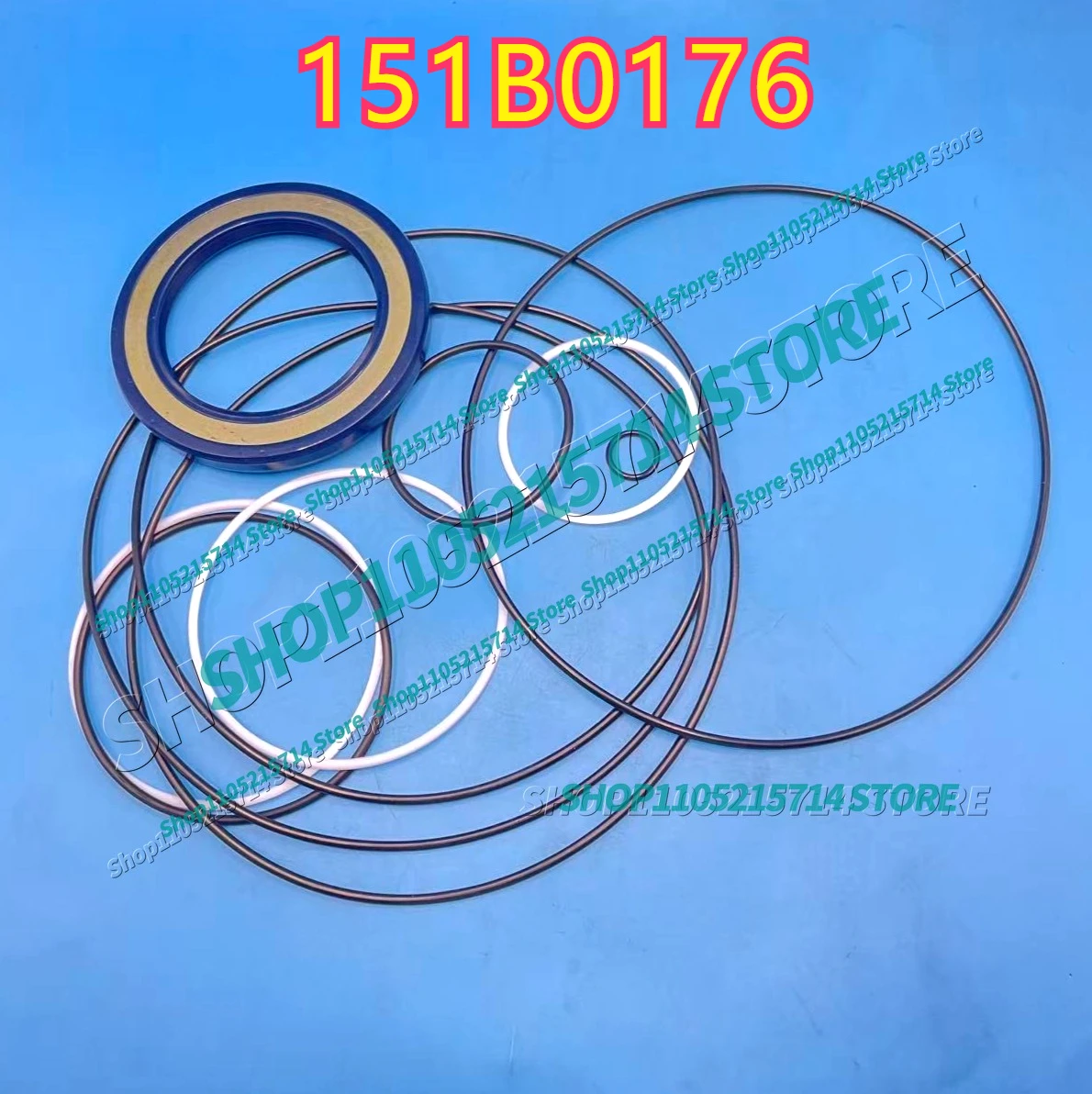 151B0176 HIGH QUALITY HYDRAULIC MOTOR SEAL KIT
151B0176 HIGH QUALITY HYDRAULIC MOTOR SEAL KIT